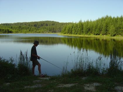 Landschaft Teich Bärnkopf