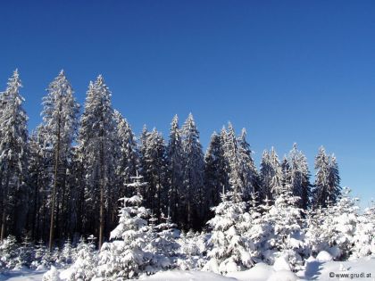 Winter Bärnkopf Weinsberg