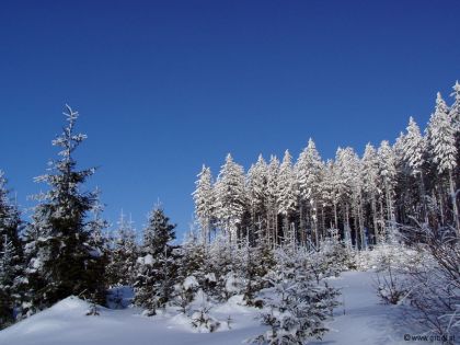 Winter Stimmung Wald Bärnkopf