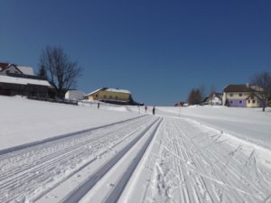 Fit Loipe Bärnkopf