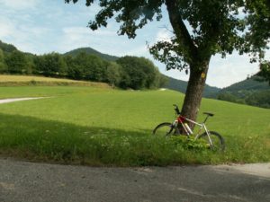 MTB-Tour Königwald Bärnkopf