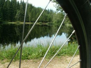 Mountainbiken in Bärnkopf Pfaffenstegteich