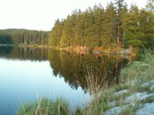 Abstimmung am Schlesingerteich