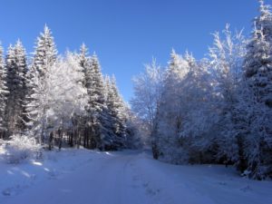 Winterlandschaft Bärnkopf Straße