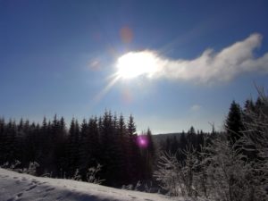 Winterimpression Sonne Bärnkopf